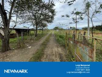 Farm entrance with dirt road gate trees and countryside fencing at cattle ranch La Mesa Santiago Panama