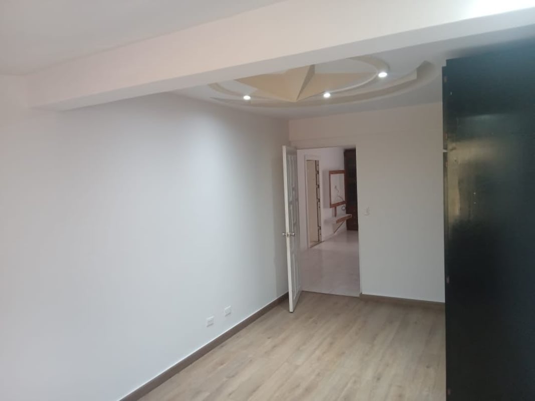 Minimalist bedroom with wood-look floors, tray ceiling lighting, built-in closet Panama City mixed use house