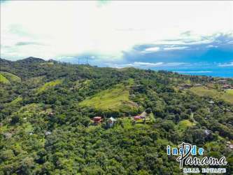 Aerial photo of lush hillside terrain and coastline from Chicá mountain Panama