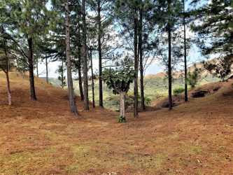 Open wooded area with rolling hills and distant mountains perfect for eco-projects in Panama