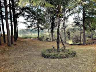 Wooded rural land with landscape views ideal for residential or tourism development near El Valle Panama