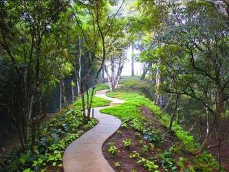 Concrete walking path winding through wooded mountain landscape in Altos del María Panama