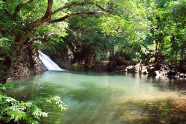 Small waterfall and pond surrounded by forest in Altos del María Panama