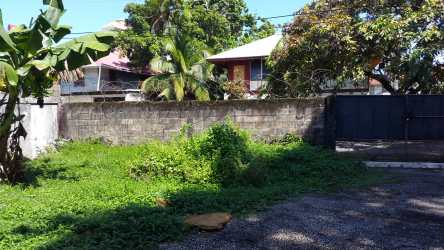 Gated lot with tropical plants, stone wall and banana trees in downtown Colon Panama
