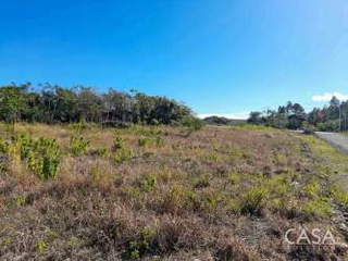 Land for Sale in Jaramillo - 0 bedrooms