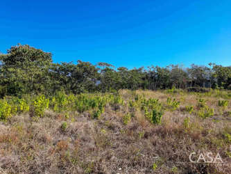 Open 2600m2 lot with grass, bushes, trees and highway access in Alto Boquete Panama