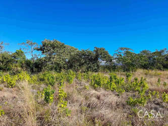 Flat vacant roadside lot with trees and dry grass under blue sky in Alto Boquete Panama