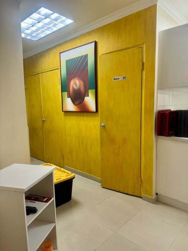 Office hallway with wooden flooring, wall art at PH BICSA Financial Center Panama