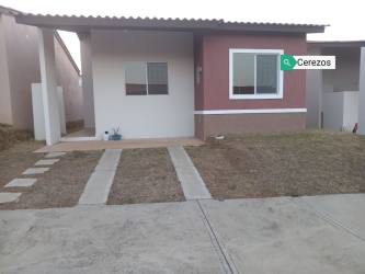 Private backyard with lawn and high privacy wall, ideal for pets in affordable house at La Chorrera