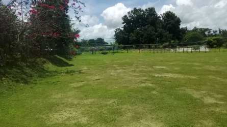Grassy plot surrounded by trees ideal for development in Coronado Las Lajas region Panama