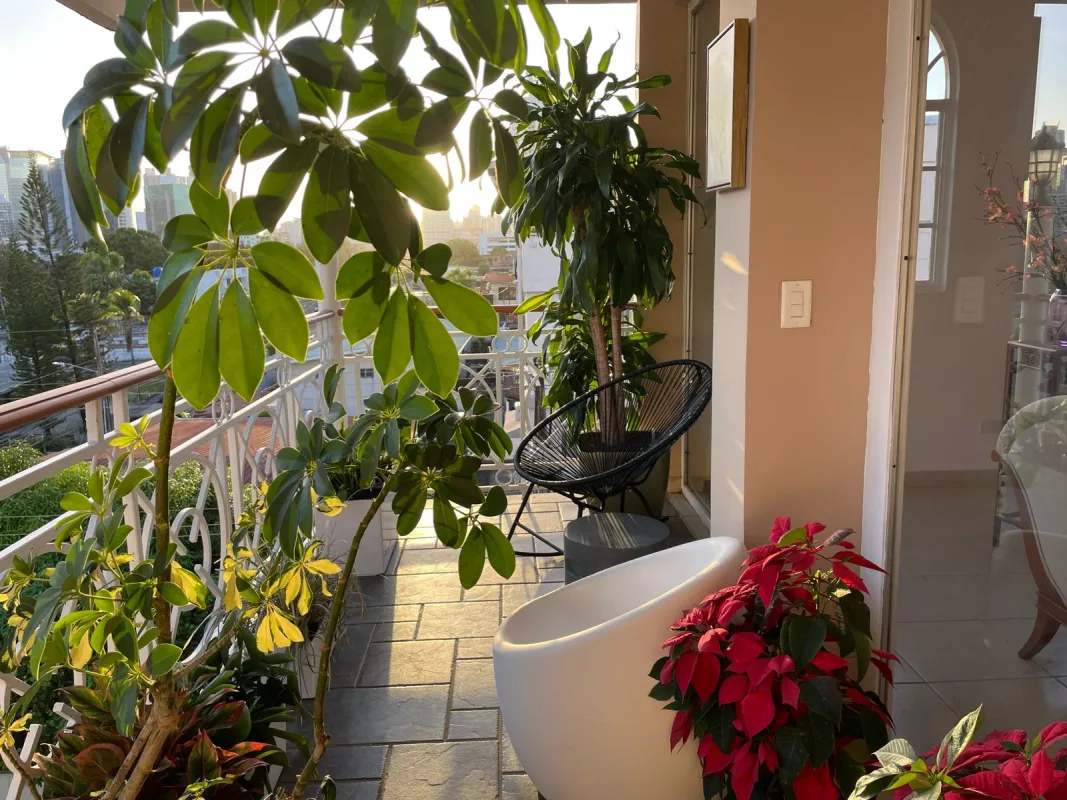 Private penthouse balcony with panoramic city view, plants, seating area in PH Quentino Panama City