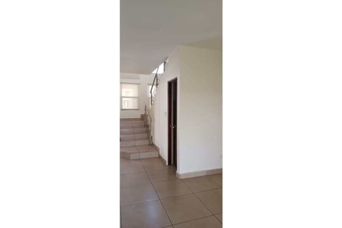 Green yard with lawn, playground, palm trees and sidewalk Paseo del Norte Panama