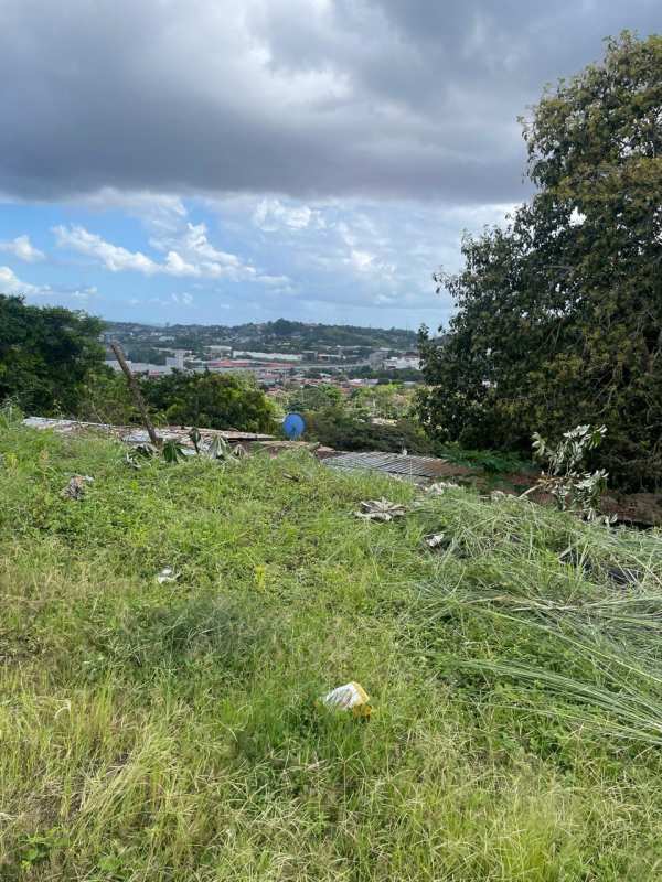 Vacant land plot with grassy slope and city views near Villa Zaita Metro Panama