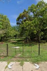 View of residential community lots with tree coverage in Llano Sanchez Aguadulce Panama