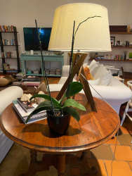 Gourmet open kitchen spacious counter island at Coronado Panama rental beach home