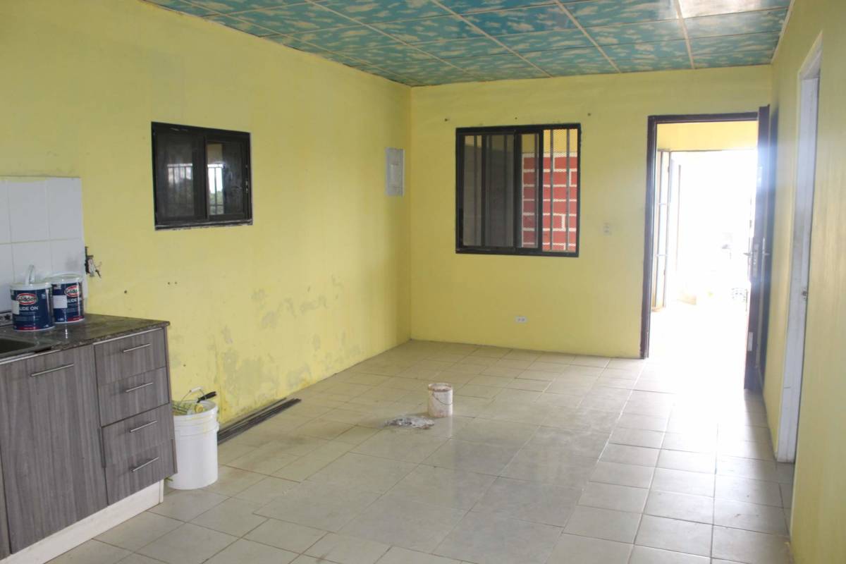 Fenced backyard with garden plants and laundry lines in Rana de Oro Pedregal Panama