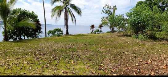 Sandy beach area with mature palms and tropical vegetation Portobelo Panama
