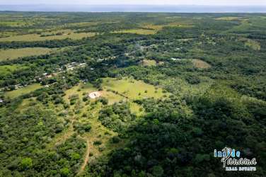 Dense forest coverage part of 55 hectare ranch land in Santa Cruz Las Lajas Chiriquí Panama