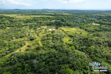 Aerial view of large open rural acreage, distant hills, clearings for ranching or farm
