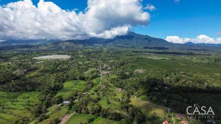 Open landscape with mature trees and natural water stream Potrerillos Boquete
