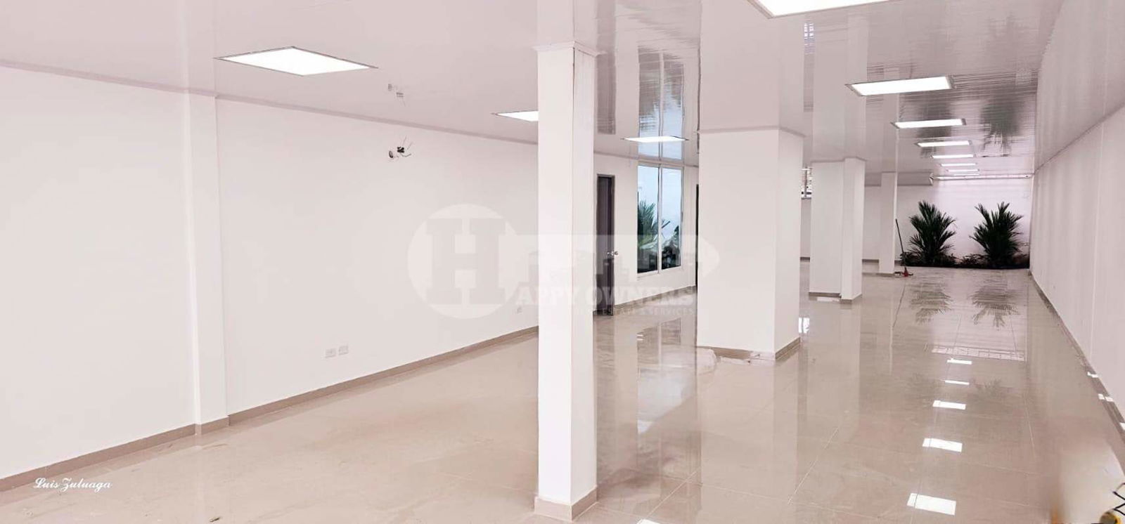 Modern minimalist commercial area with indoor greenery and large windows Chanis Panama
