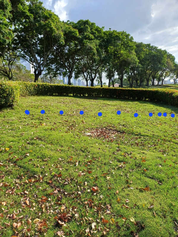 Landscaped garden area with trees and bushes at Jardín de Paz cemetery Panama Viejo
