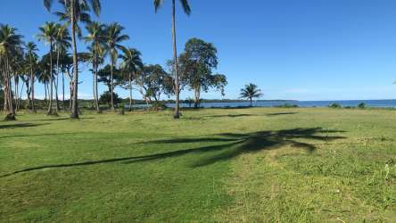 Beachfront land with palms, grassy open spaces, Caribbean sea view in Colón Panama