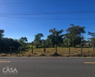 Countryside lot with mountain backdrop and natural vegetation Nueva California Tierras Altas Panama