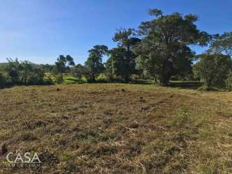 Scenic gently sloped land with stream flowing through Nueva California Tierras Altas Panama
