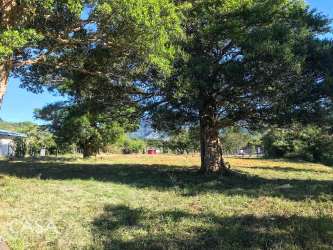 Lush greenery with natural water stream and mountain panorama Nueva California Tierras Altas