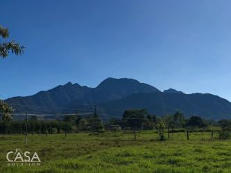 Shared pasture view with mountain skyline and treeline Nueva California near Volcán Panama