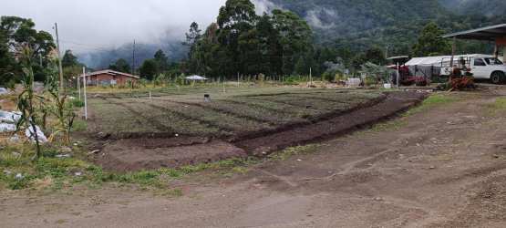 Farm plot cultivation area Paso Ancho Tierras Altas Chiriquí Panama