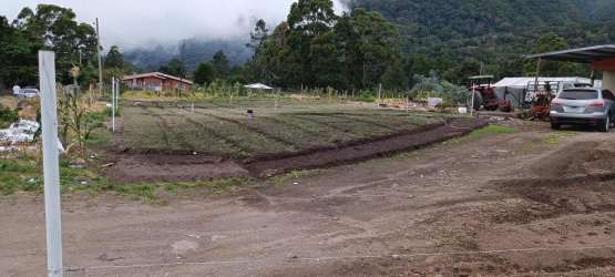 Garden beds and view of farmland Paso Ancho Volcán Chiriquí for sale