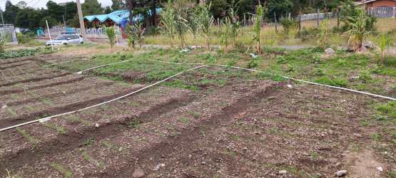 Corner lot cultivated land Paso Ancho Chiriquí mountain region Panama for sale