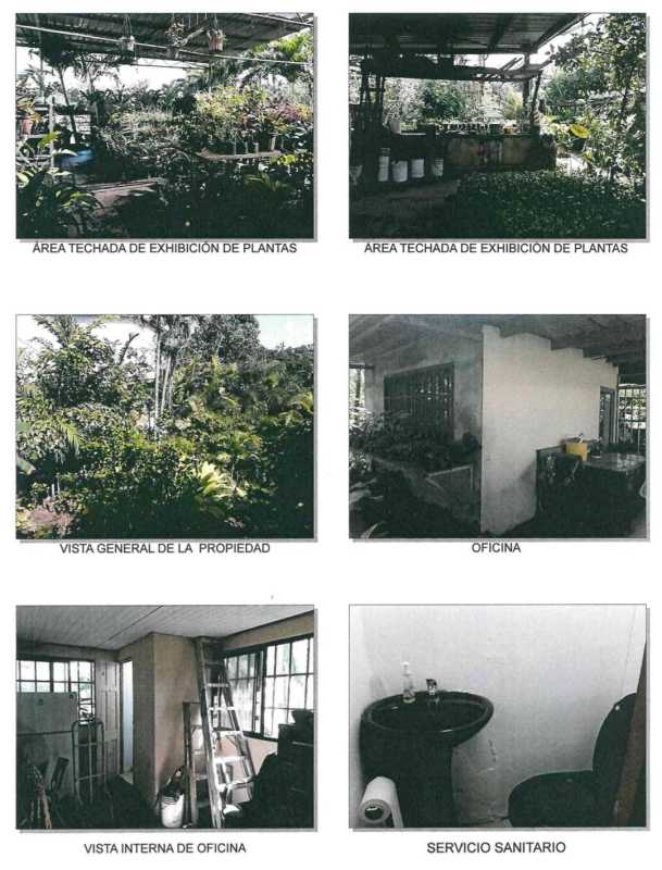 Small office and bathroom interior and outdoor garden exhibition area at nursery property