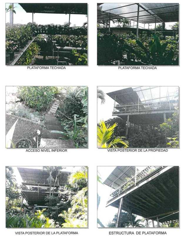 Elevated covered terrace for nursery stock surrounded by tropical vegetation Panama