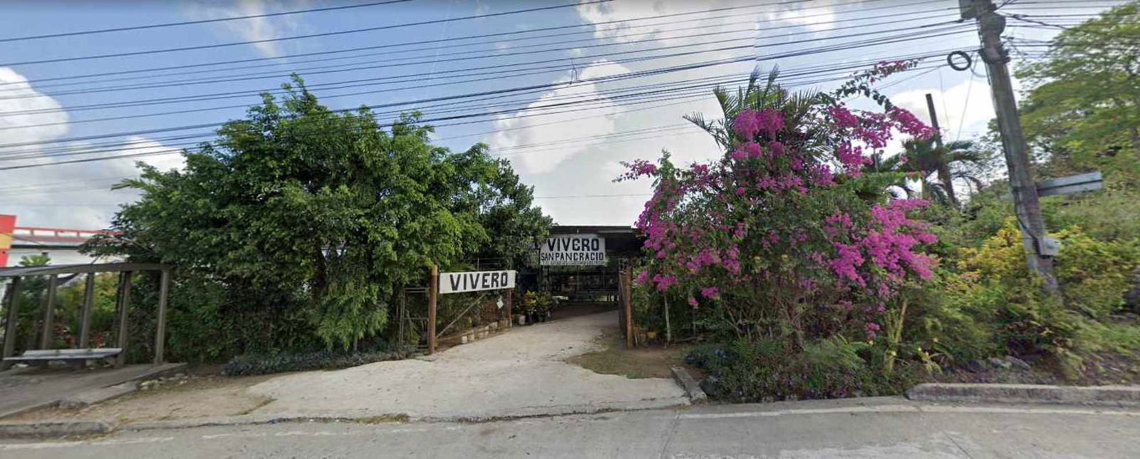Entrance and access road to commercial nursery property along Vía Transístmica Panama