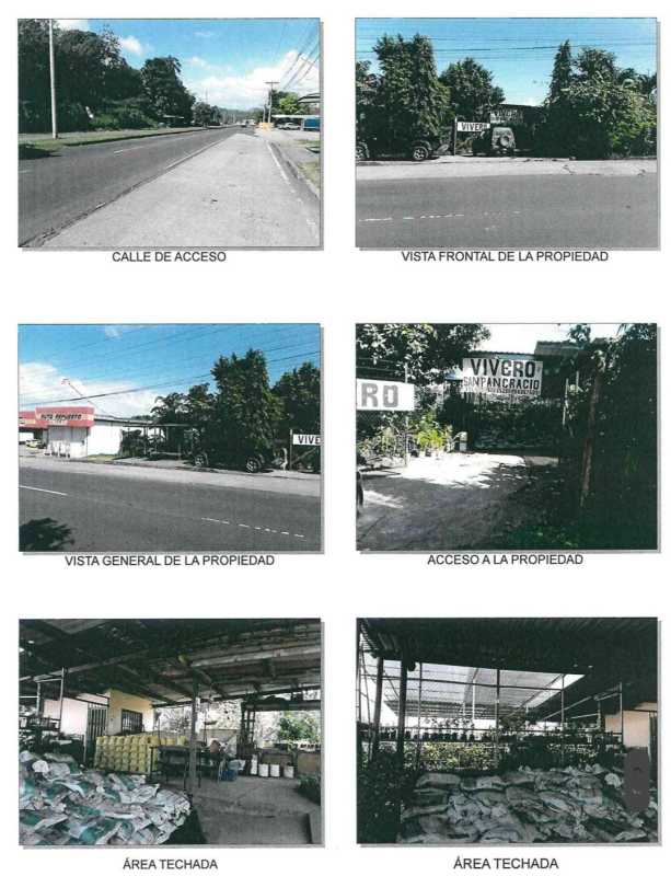 Photo collage of access, warehouse, covered plant nursery areas Vía Transístmica Panama