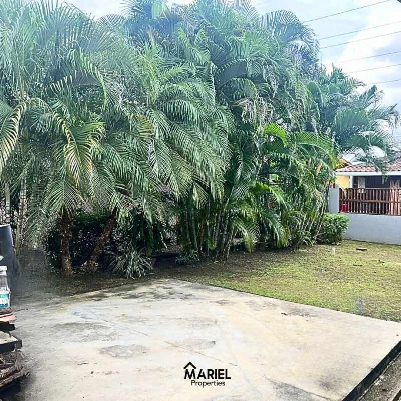 Large covered backyard terrace perfect for BBQ and family gatherings at house for sale Loma del Golf Panama