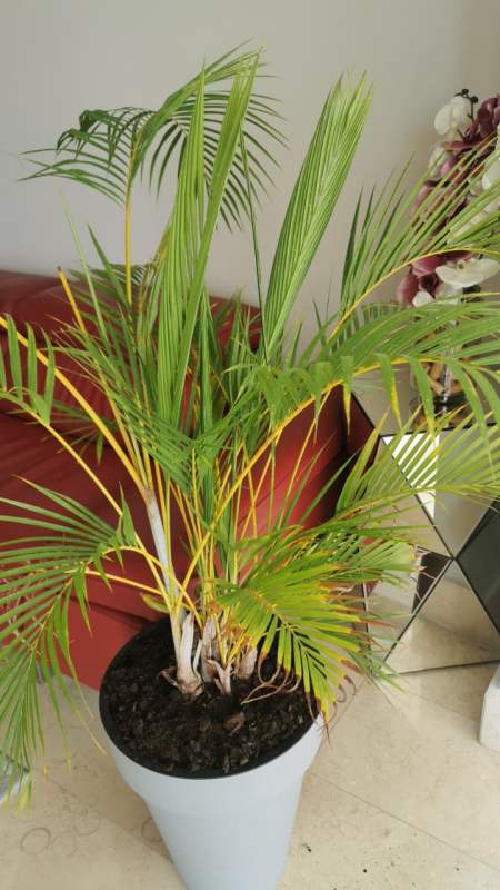 Master bedroom with large windows and ocean views PH BICSA Panama City
