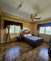 Organic fruit orchard with banana trees, mangoes and avocados in countryside estate La Laguna San Carlos Panama