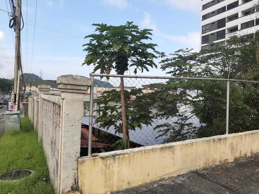 Concrete wall and gated entrance bordering land for sale in Condado del Rey Panama City