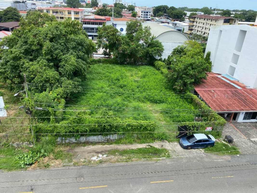 Urban lot with lush vegetation, fenced and ready for development near Corredor Sur expressway Panama City