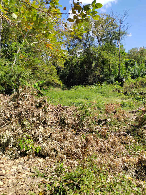 Compact bathroom with blue walls and red mirror in Las Margaritas residential house Panama