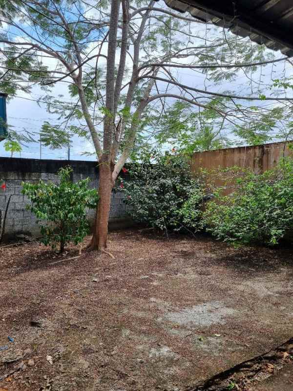Spacious fenced backyard with mature trees and outdoor garden area in Las Mañanitas Panama City