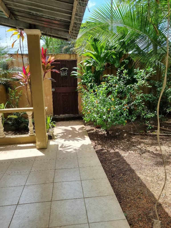 Covered patio leading to lush garden with mature trees and wooden gate in Las Mañanitas Panama City