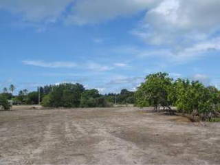 Commercial Land for Sale in Antón - 0 bedrooms