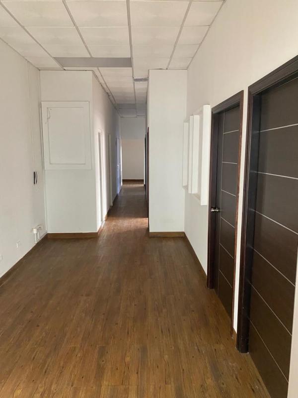 Bright modern office interior with open flexible space and natural light Bella Vista Panama