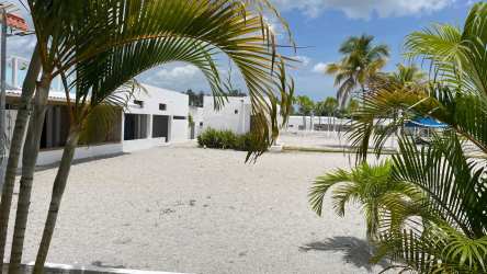 White minimalist villas with palm trees and open courtyard in Ibiza Residences Río Hato Panama