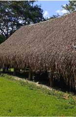 Country house & farm land for Sale in Pajonal - 3 bedrooms